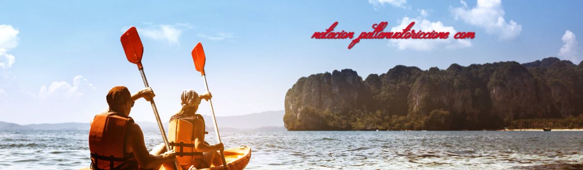 natacion.pallanuotoriccione.com